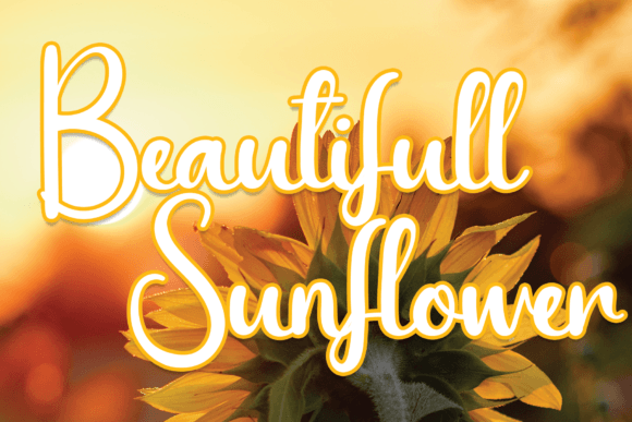 Beautifull Sunflower Font Review