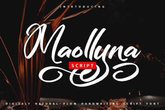 Maollyna: The Handwritten Font That Elevates Your Campaign Design
