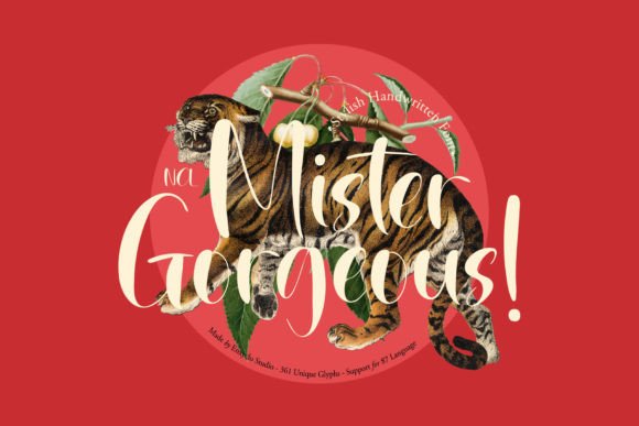 Mister Gorgeous: A Font for Business Style