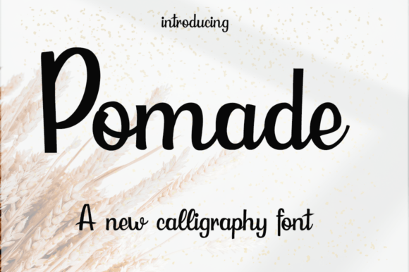 Pomade: A Modern Script Font
