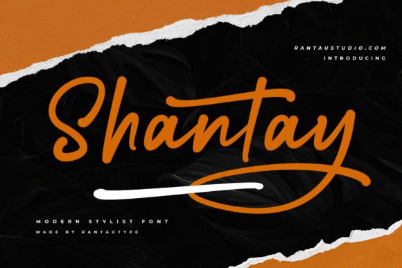 Shantay: A Bold Script Font for Creative Makers